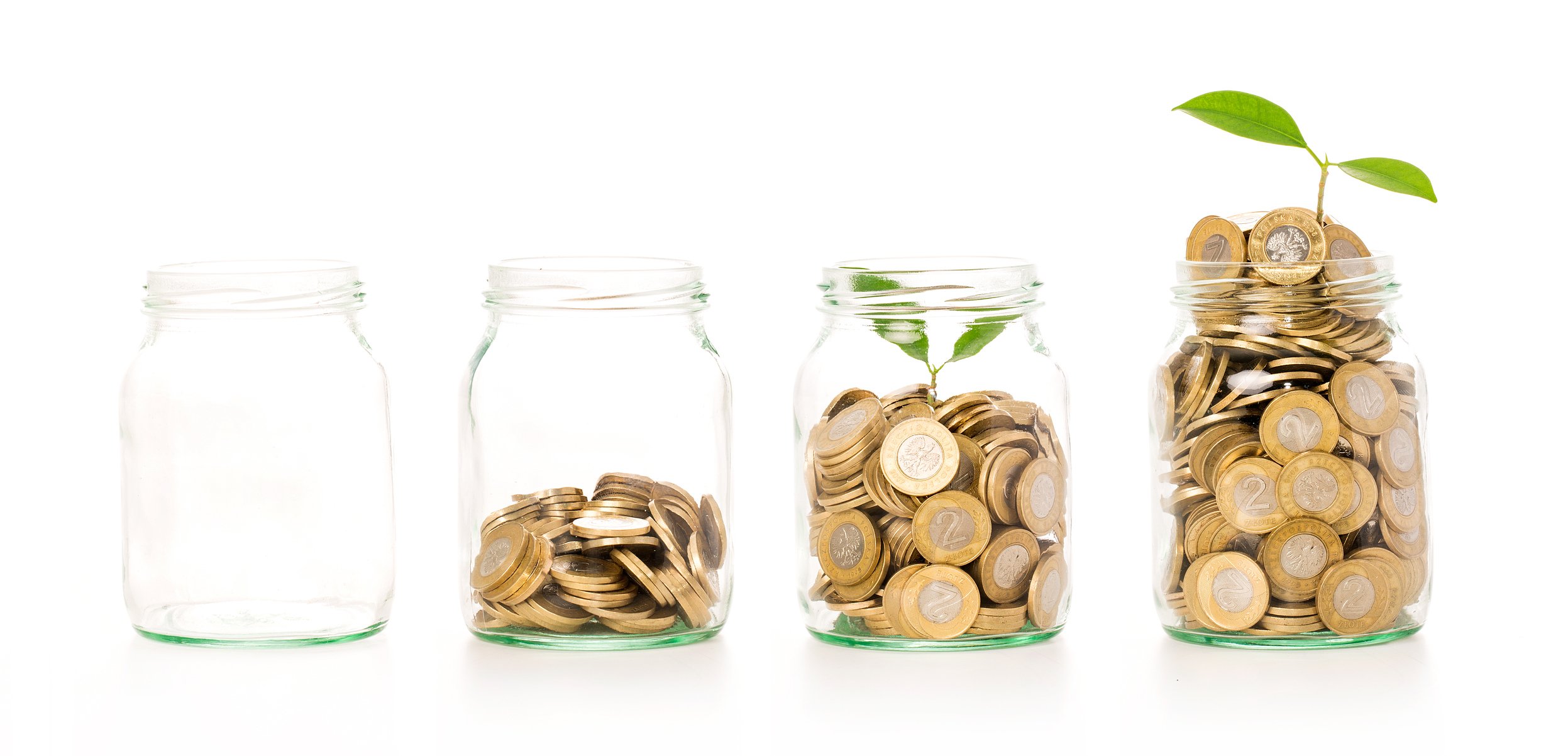 Gold coins growing in four jars, with seedlings growing out of two jars.