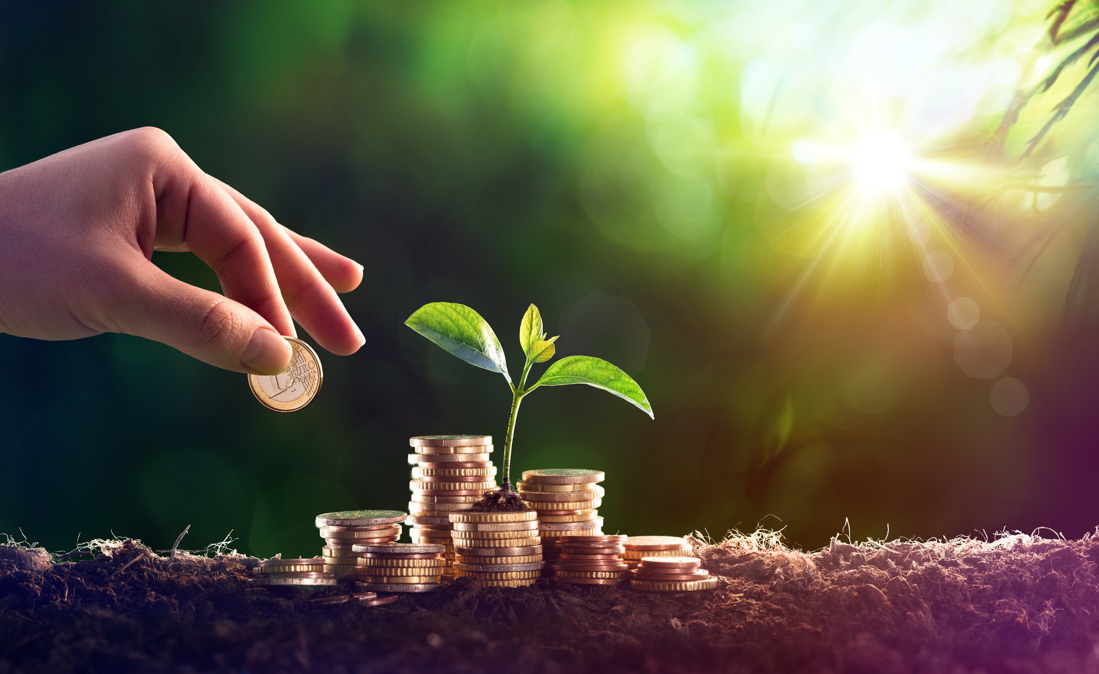 A hand putting another coin on a growing pile in the soil, with a green sprout coming out of the stack and the sun shining in the background.