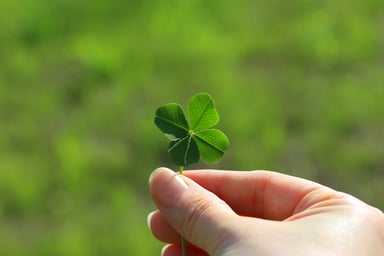Four leaf clover