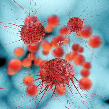 Cancer cells