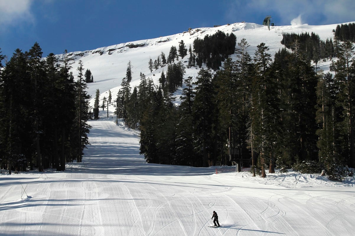 Lone skier on a slope dotted with trees under a blue sky.