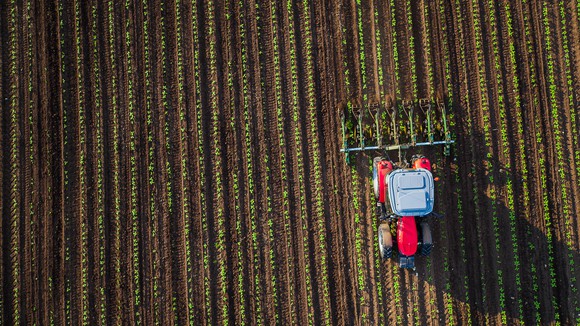 Tractor going through field of freshly planted crops.