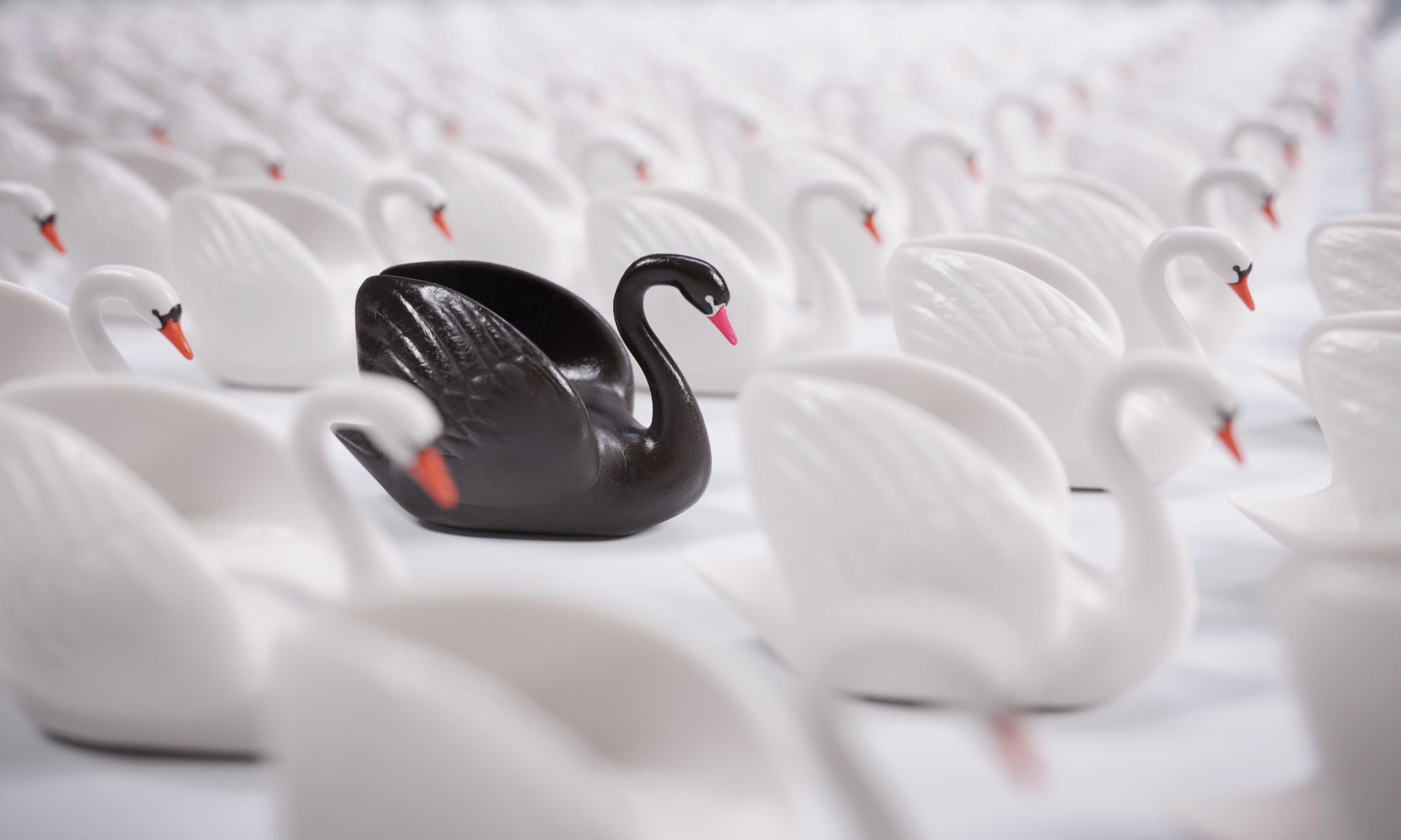 A black swan among many white swans.
