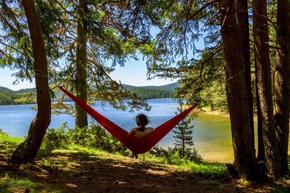 A woman sitting in a hammock hung between two trees looking over a lake.