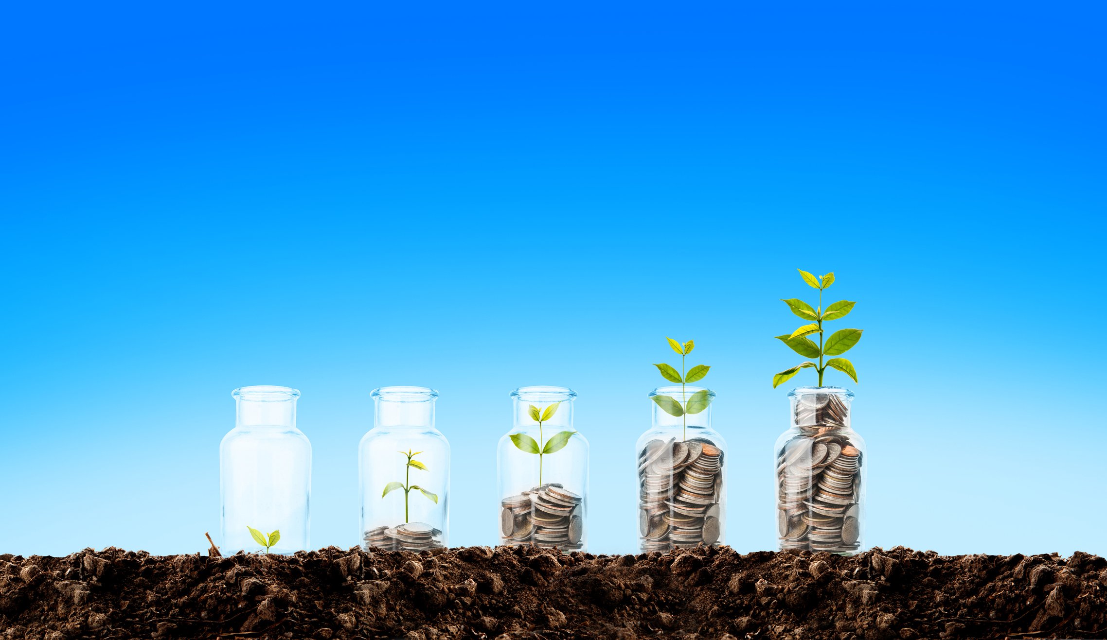 Jars with progressively larger piles of coins and a growing plant.