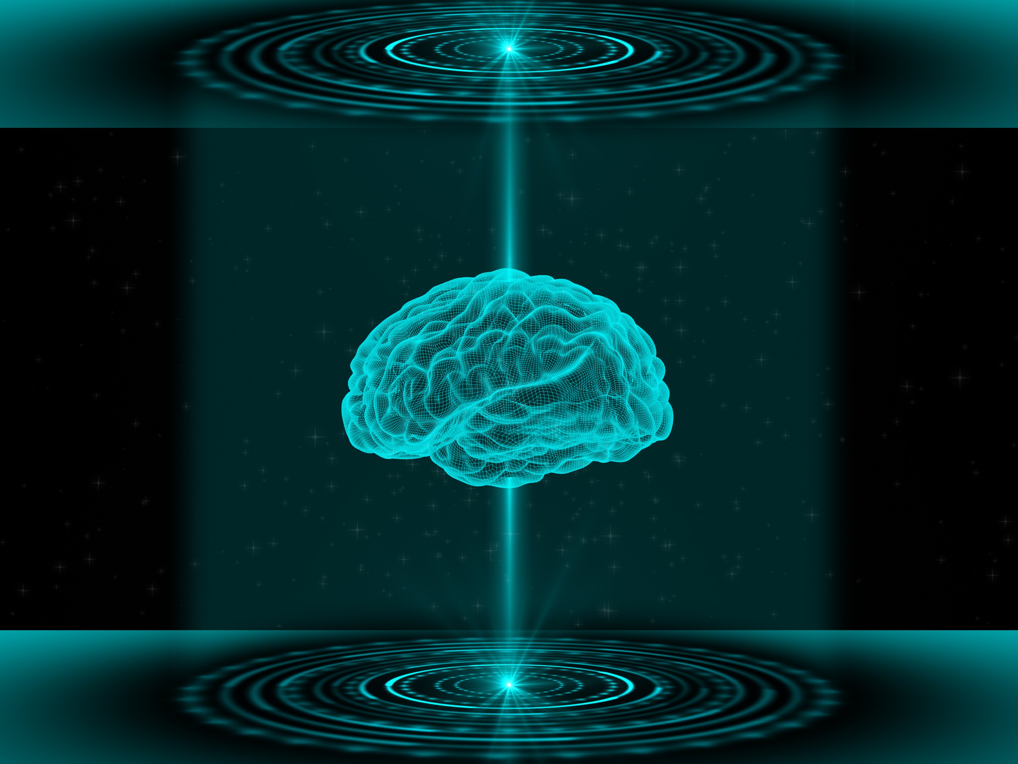 A human brain scan.