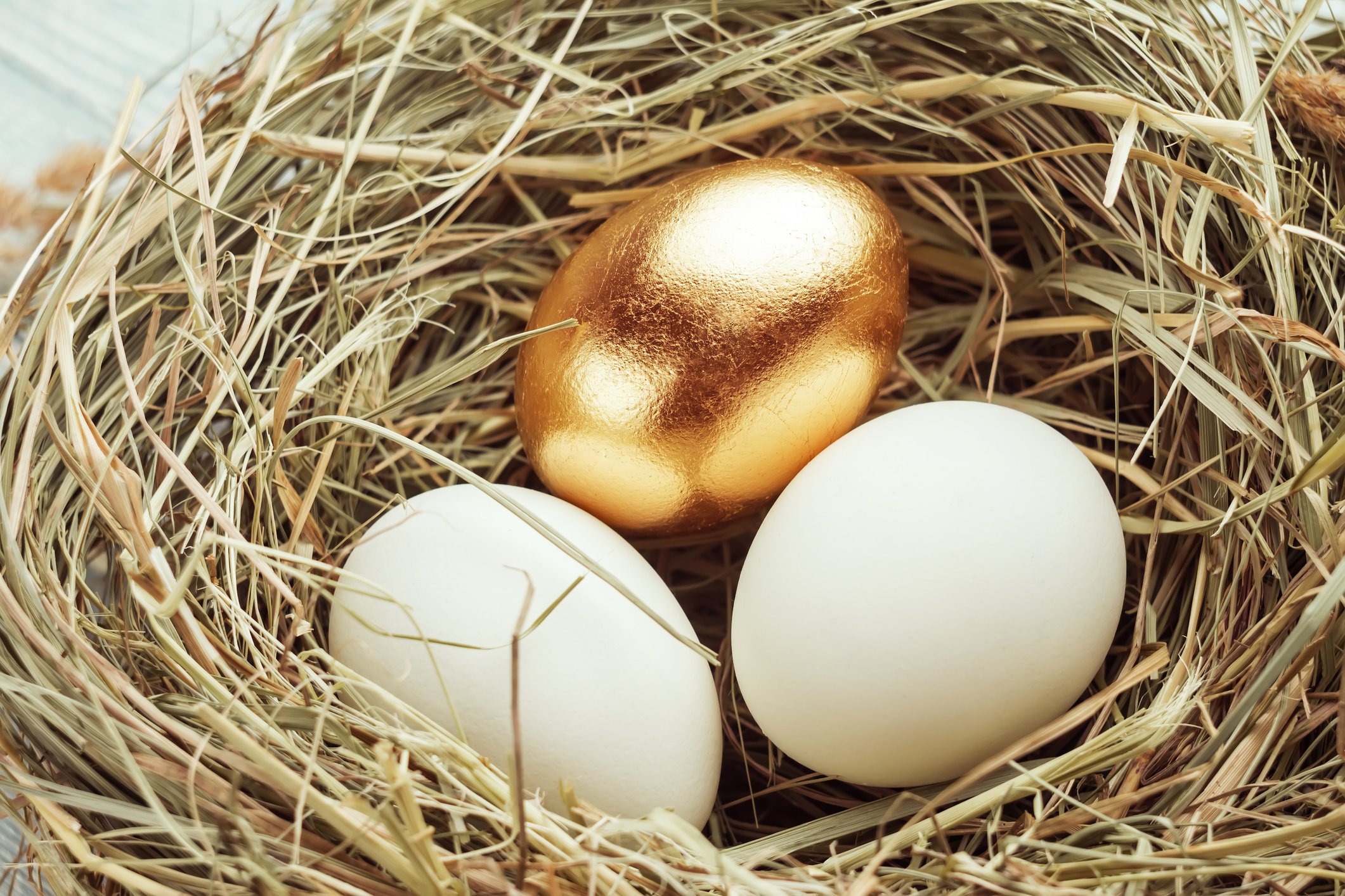 A golden egg among several within a birds nest.