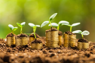 Coins Growing Small Plants