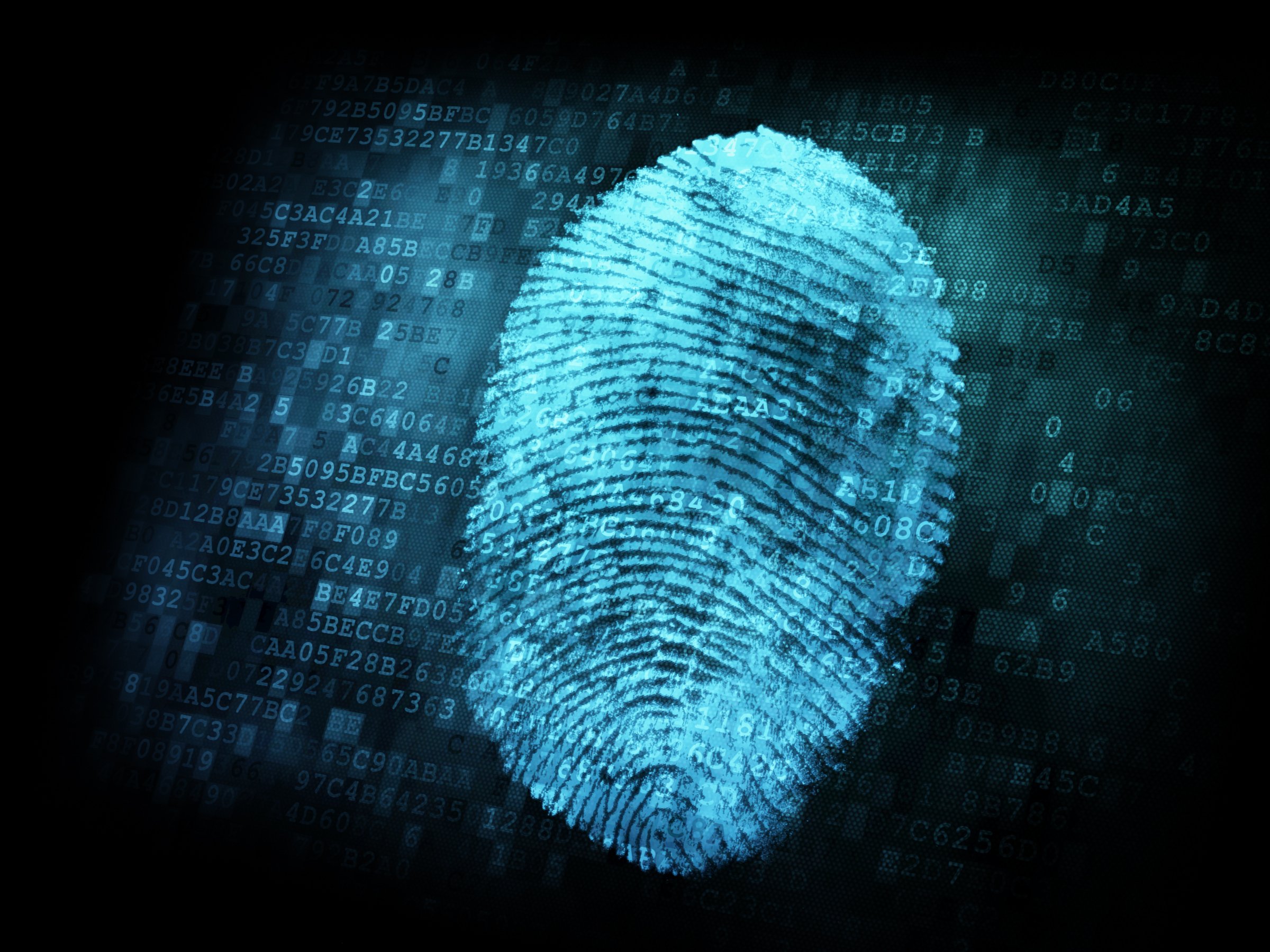 A computer graphic of a fingerprint