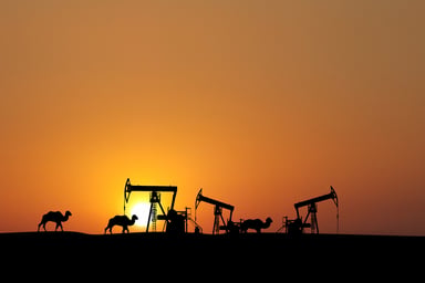 Camels and oilfield at sunset