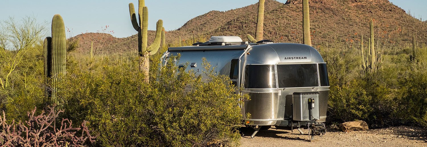 An Airstream trailer parked amidst saguaro cactuses