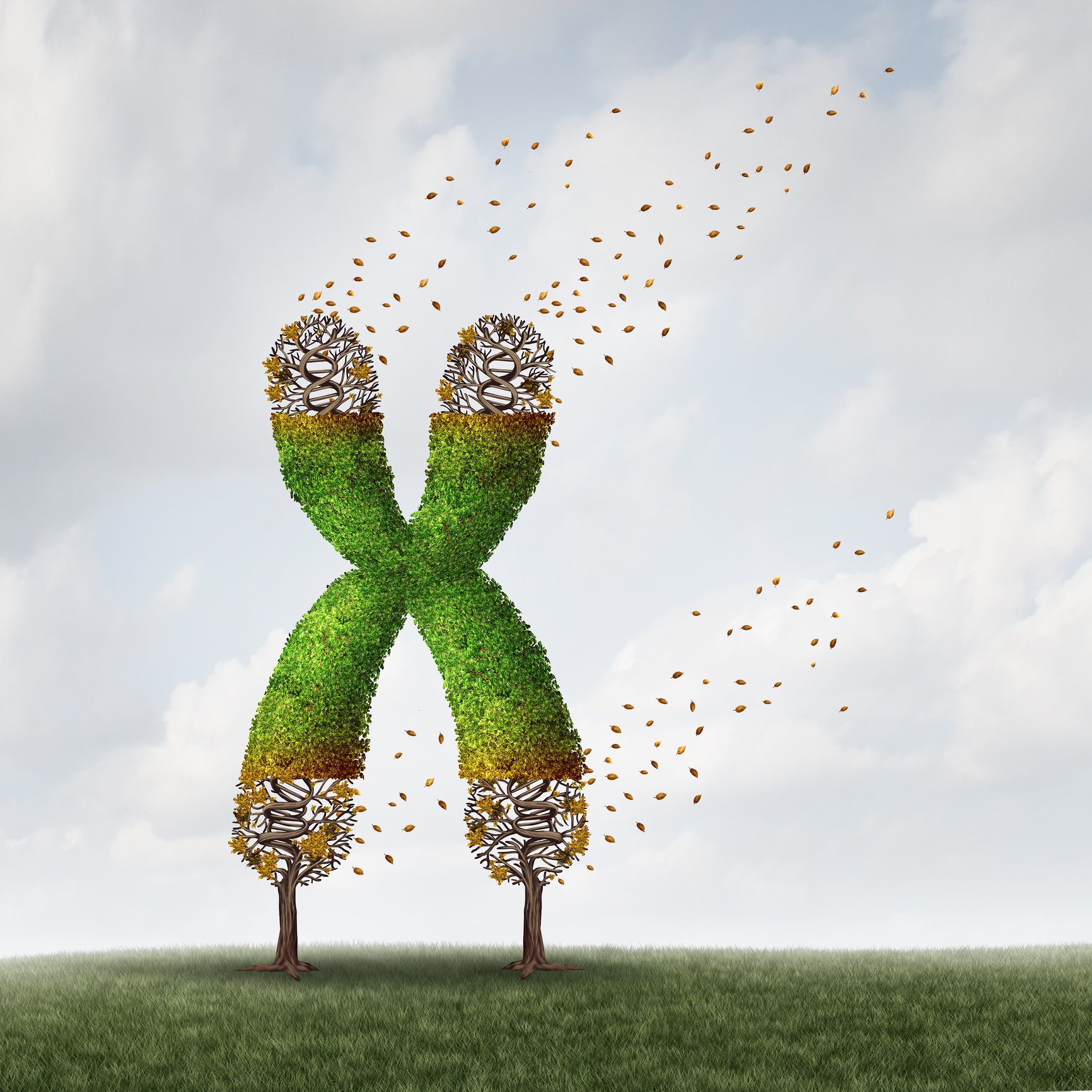 A green tree in the shape of the letter X with falling leaves on the end caps 