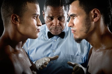 Boxers and referee