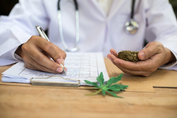 A doctor fills out paperwork while holding marijuana buds in the other hand