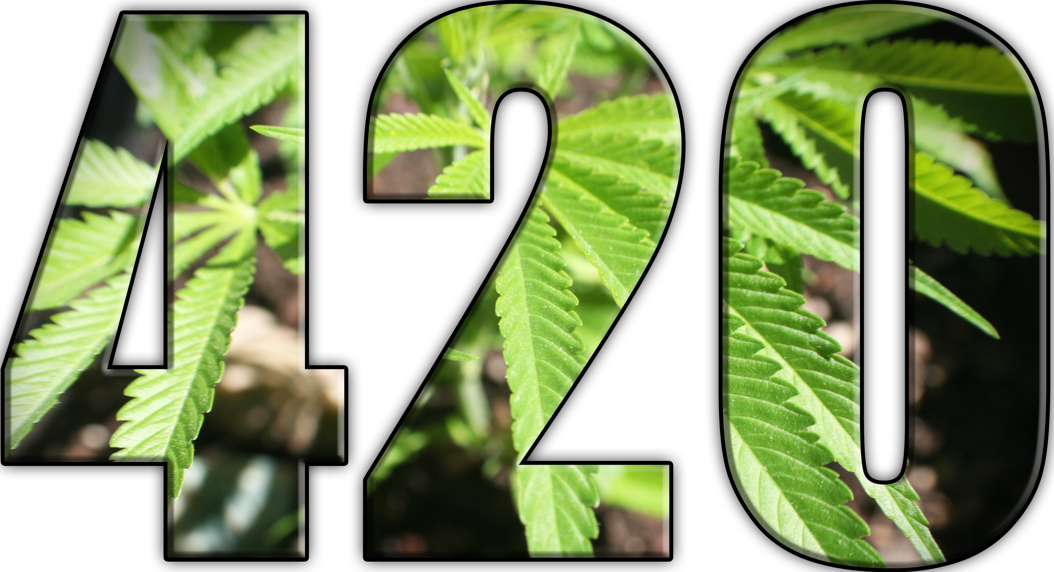 Transparent numbers 420 reveal a marijuana leaf in the background.