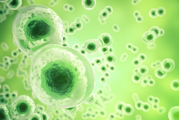 Cells floating in a green background.