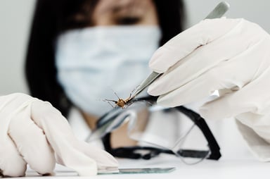 Scientist Zika Virus