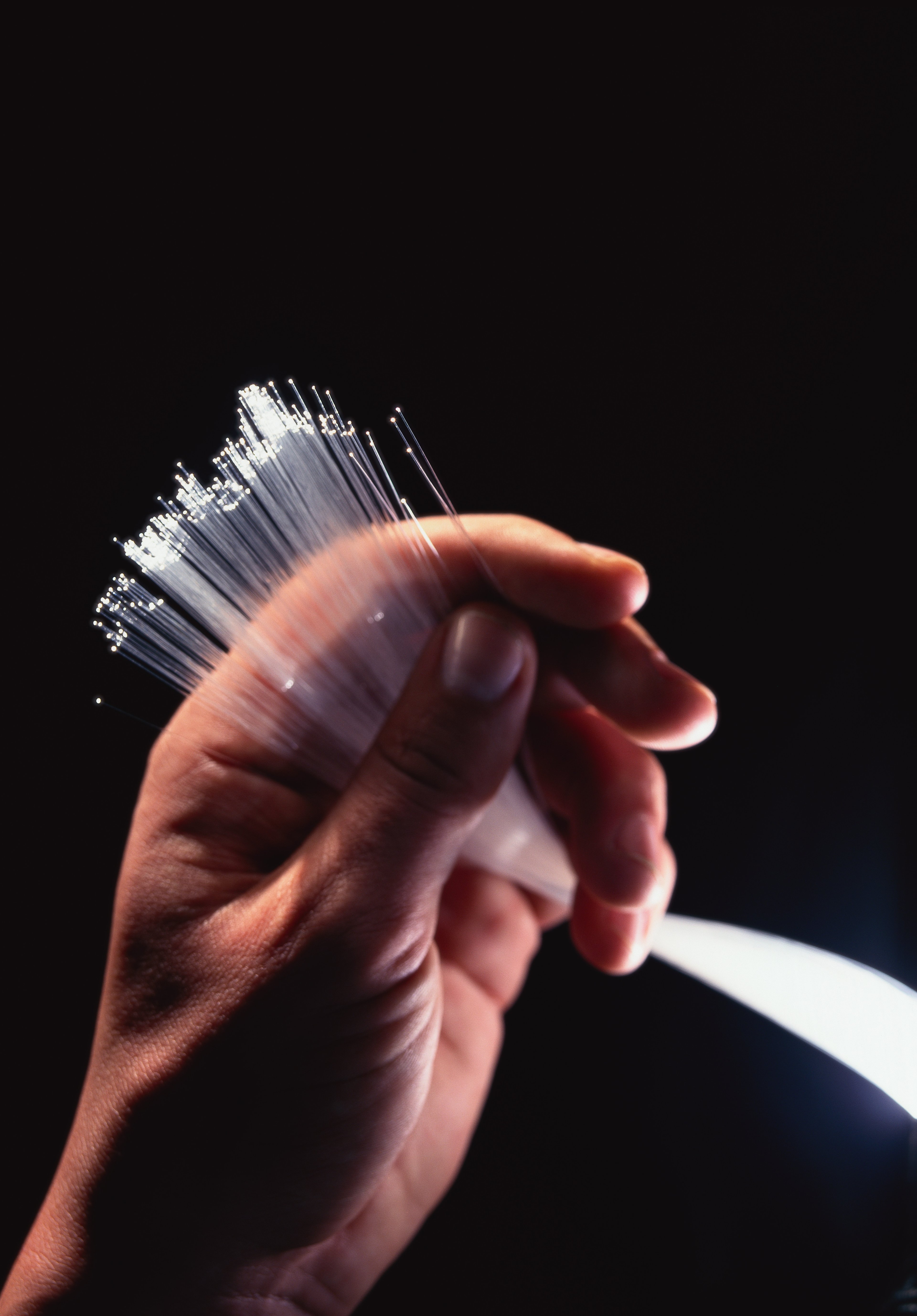 Hand holding a bundle of white fiber-optic cables.