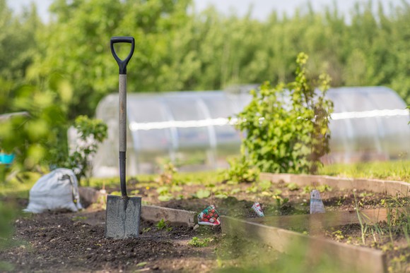 A greenhouse and outdoor community garden with a shovel sticking in the dirt.