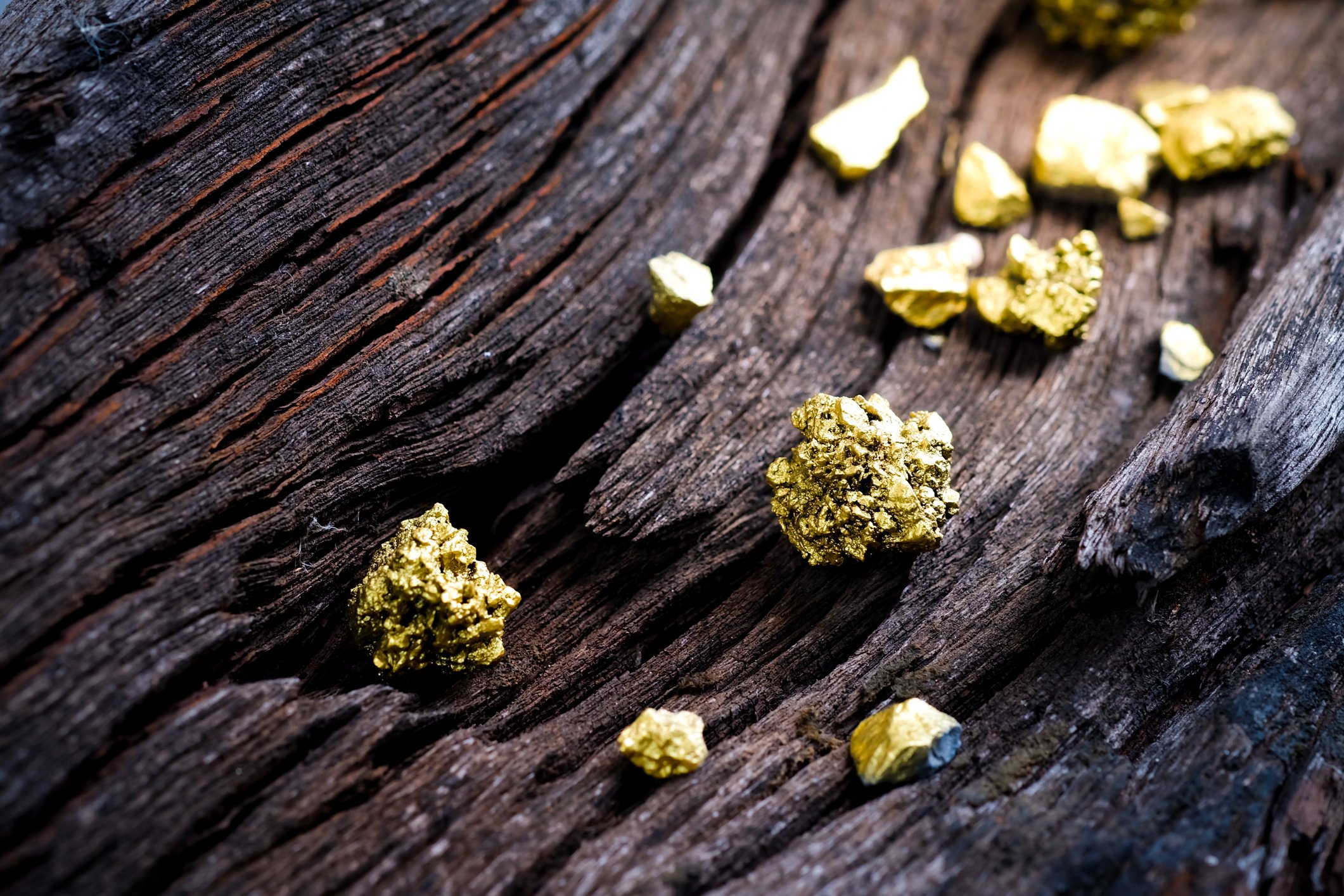 Gold nuggets on a raw piece of wood. 