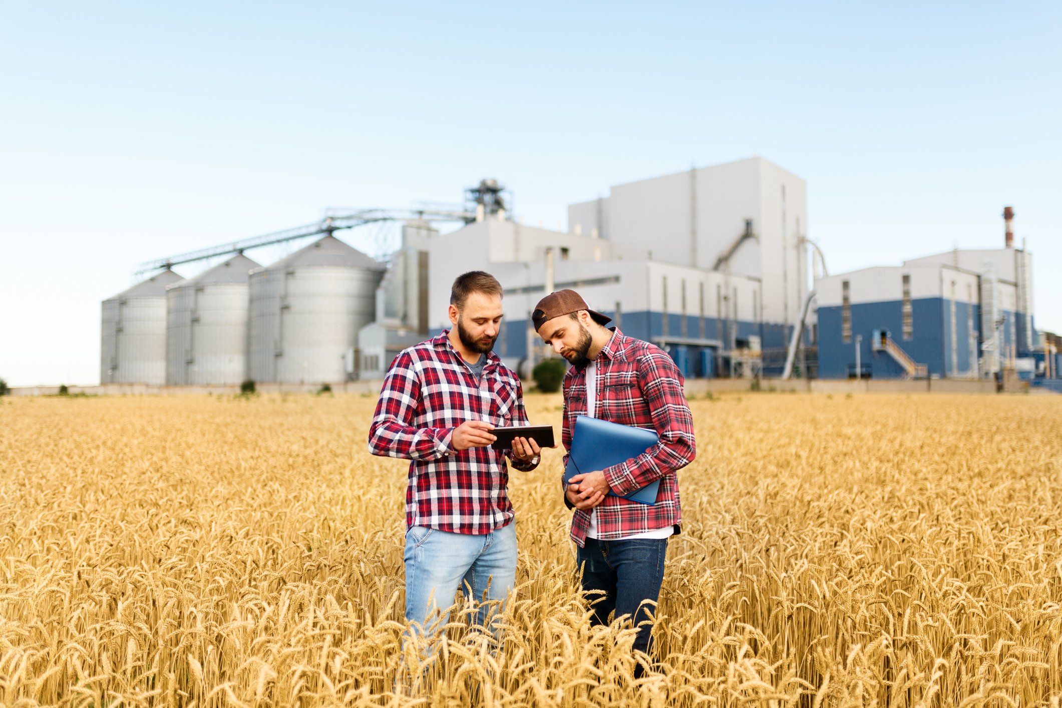 Two farmers standing in field of wheat, with a harvesting facility behind them