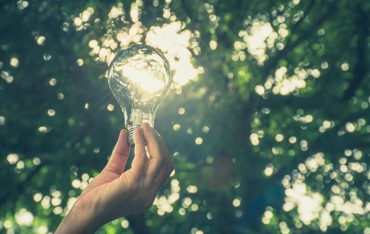 A hand holding up a light bulb with a tree in the background.