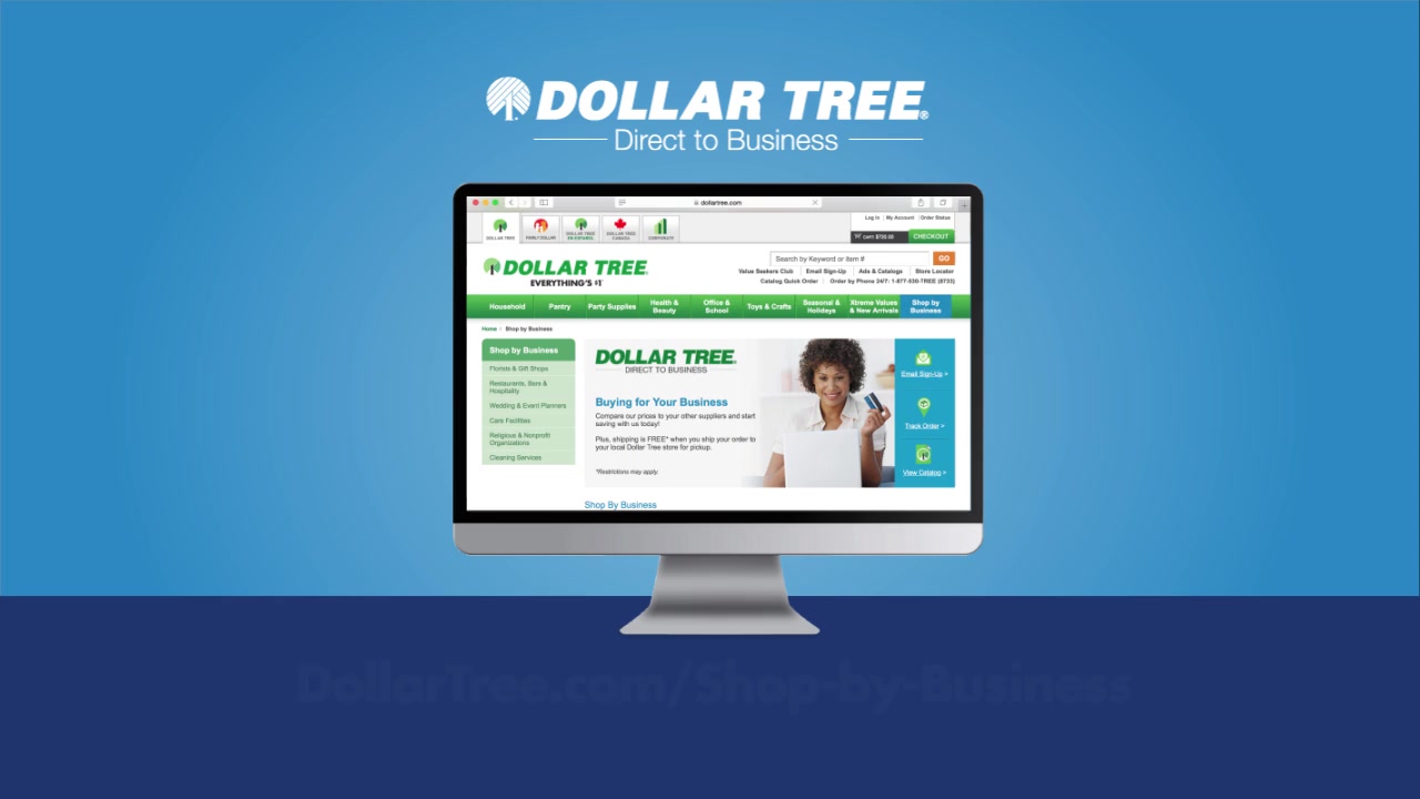 Computer screen showing Dollar Tree's web portal.