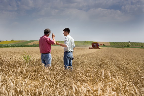 Two men in a wheat field.