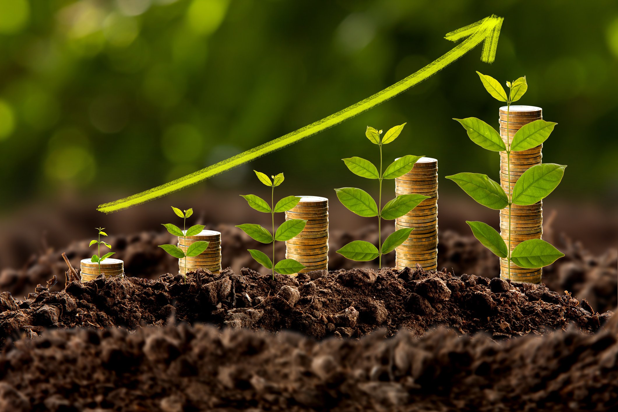 Stacks of coins and plants growing in soil, with an drawn arrow to illustrate growth. 