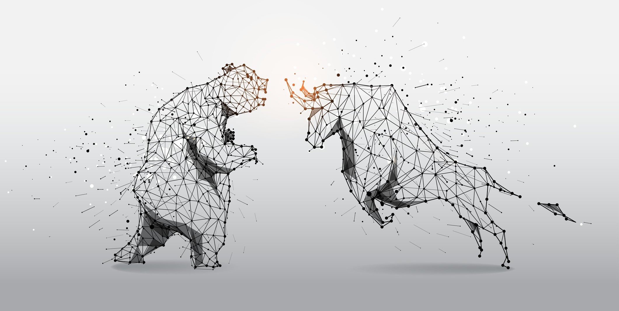 A bear clashes with a bull.