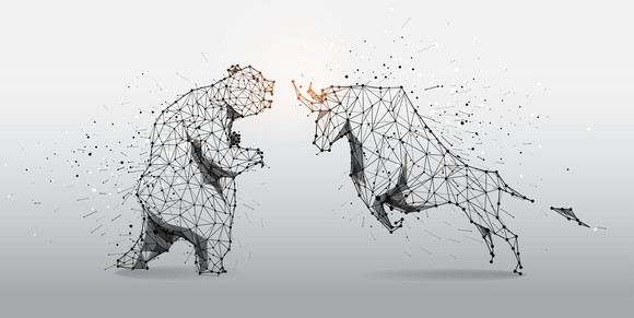 A bear clashes with a bull.