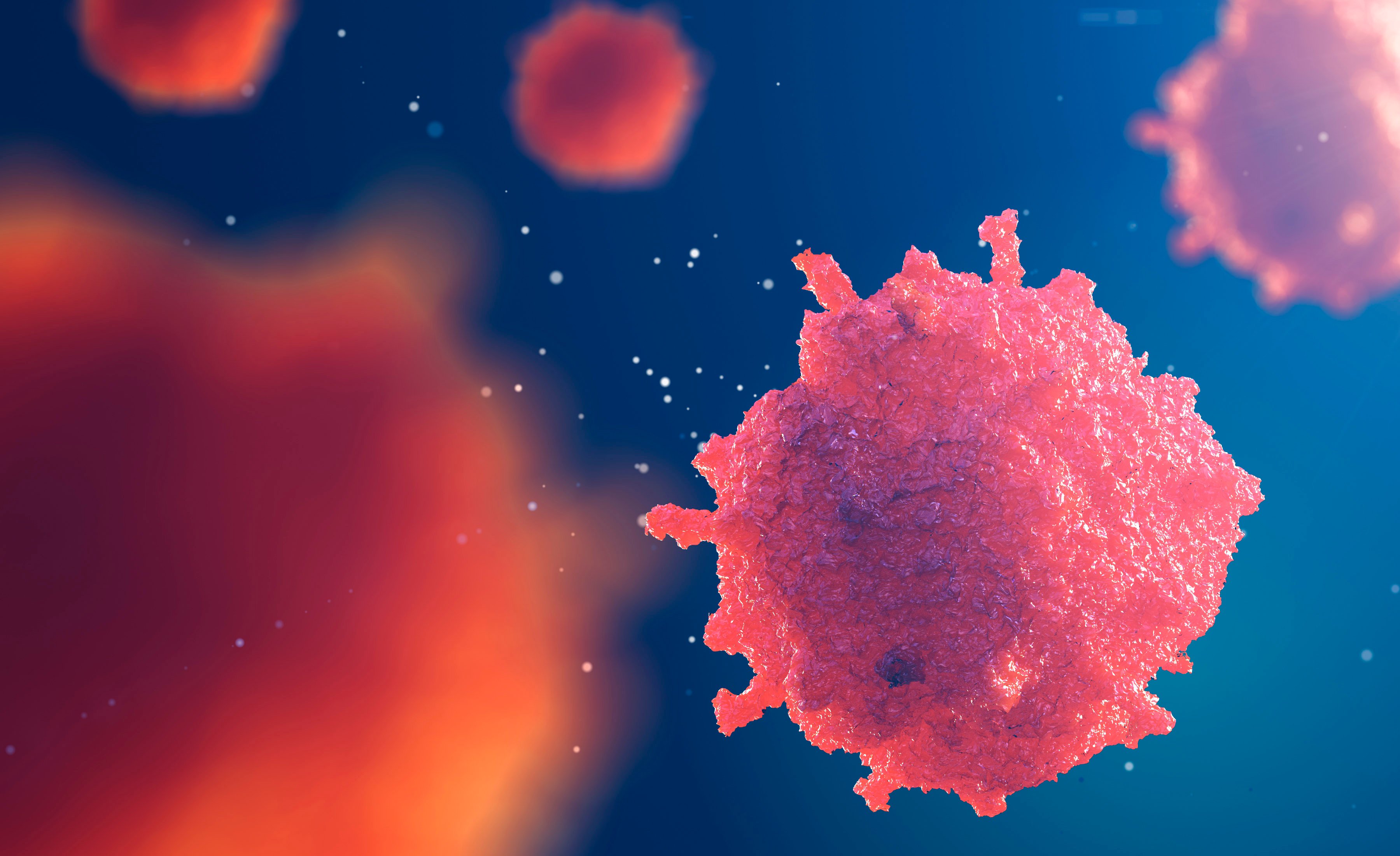 A human cancer cell floating in a fluid.