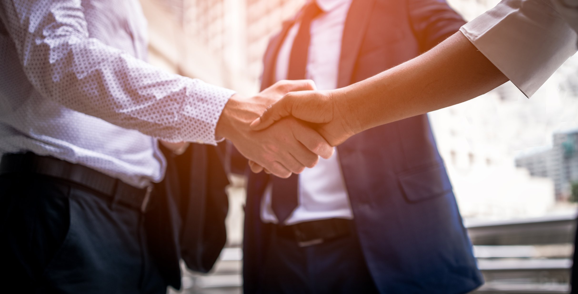 Two business people shaking hands