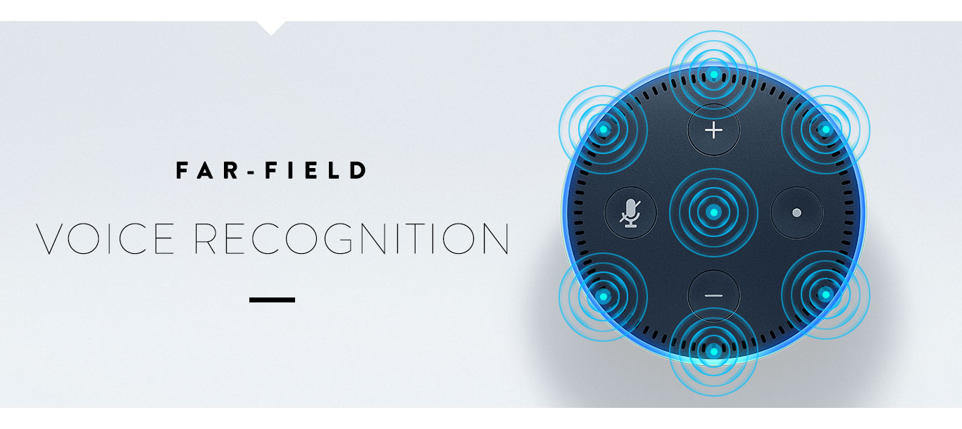 Amazon's Echo Dot.