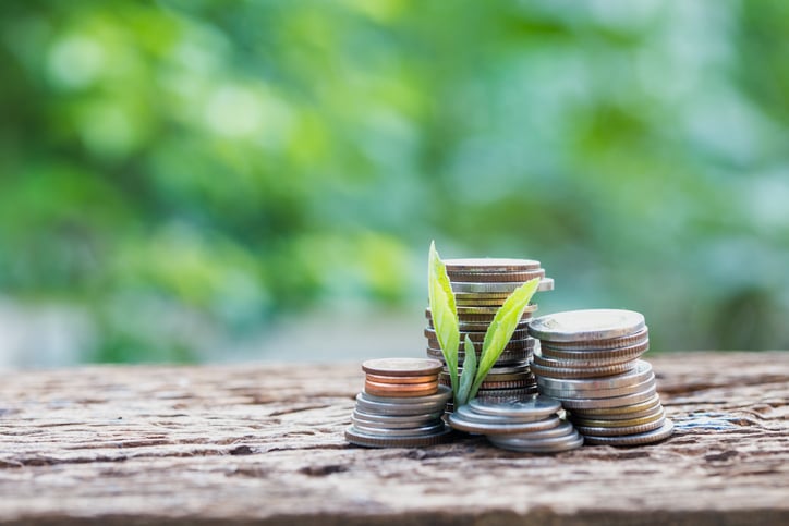 Stacks of coins on a table with a plant growing near them.