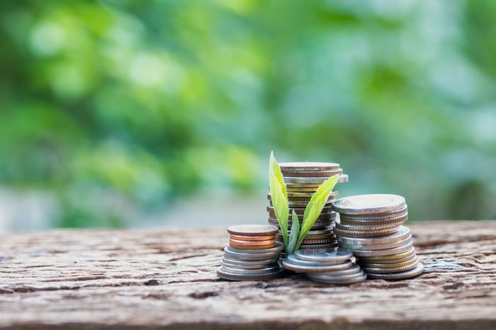 Stacks of coins on a table with a plant growing near them.
