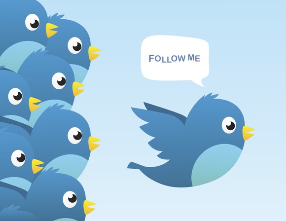 A blue, cartoon bird saying follow me and being followed by other blue, cartoon birds.