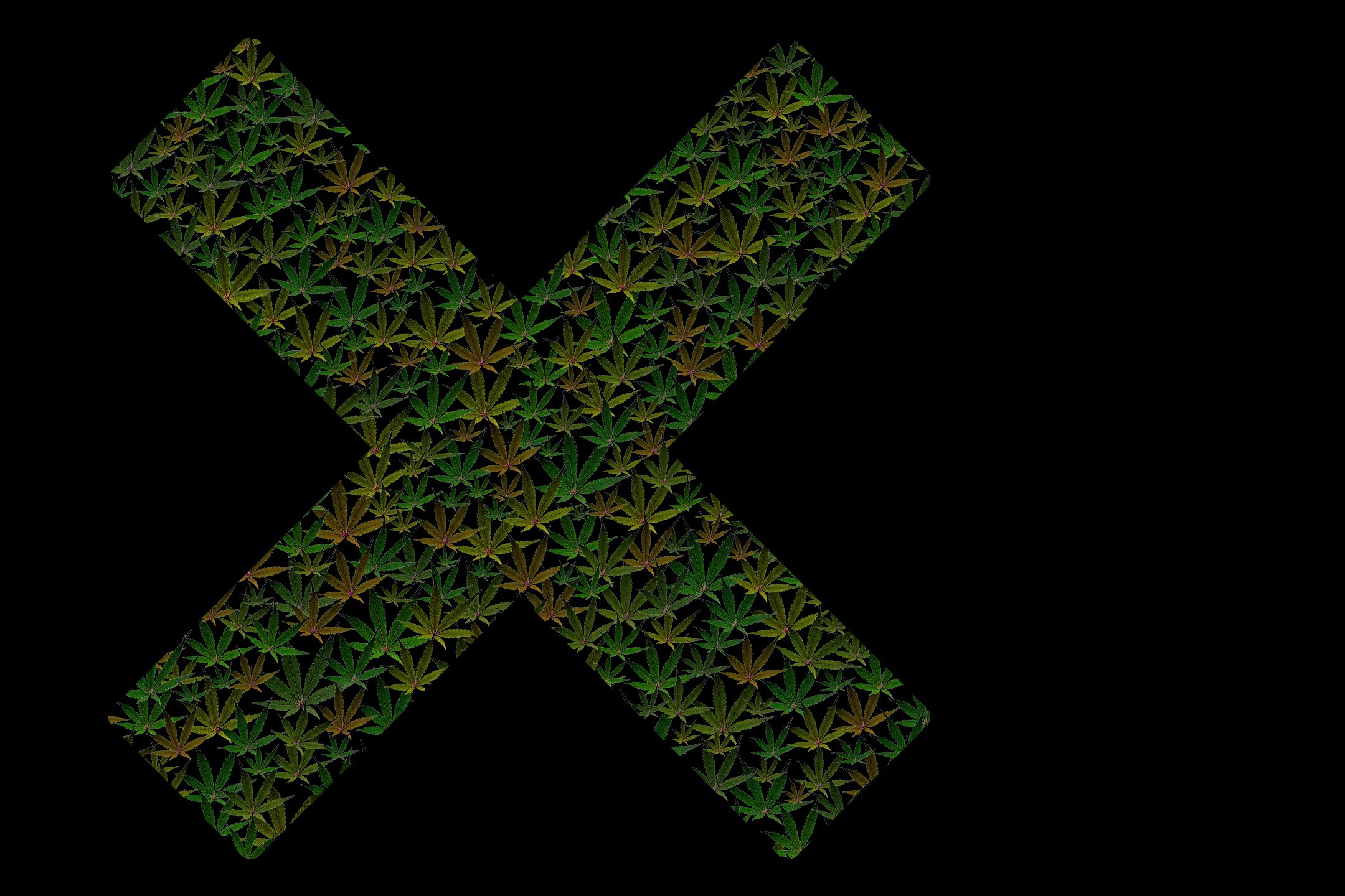 Marijuana leaves forming an X against a black background