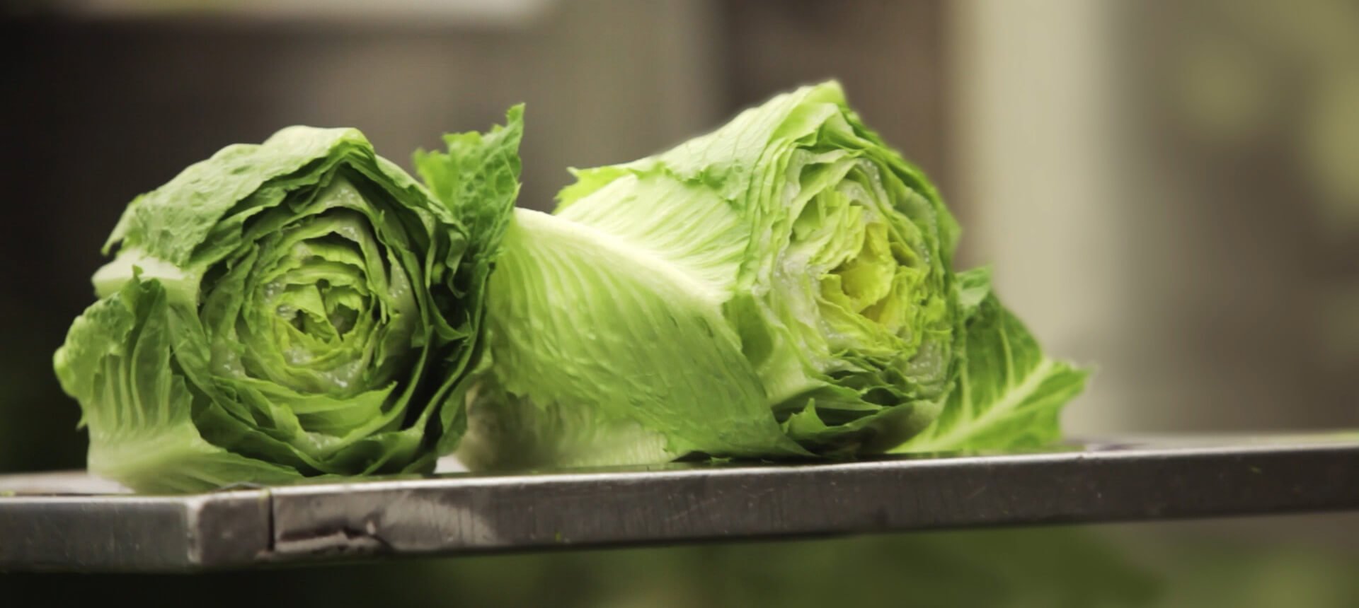 Lettuce on shelf