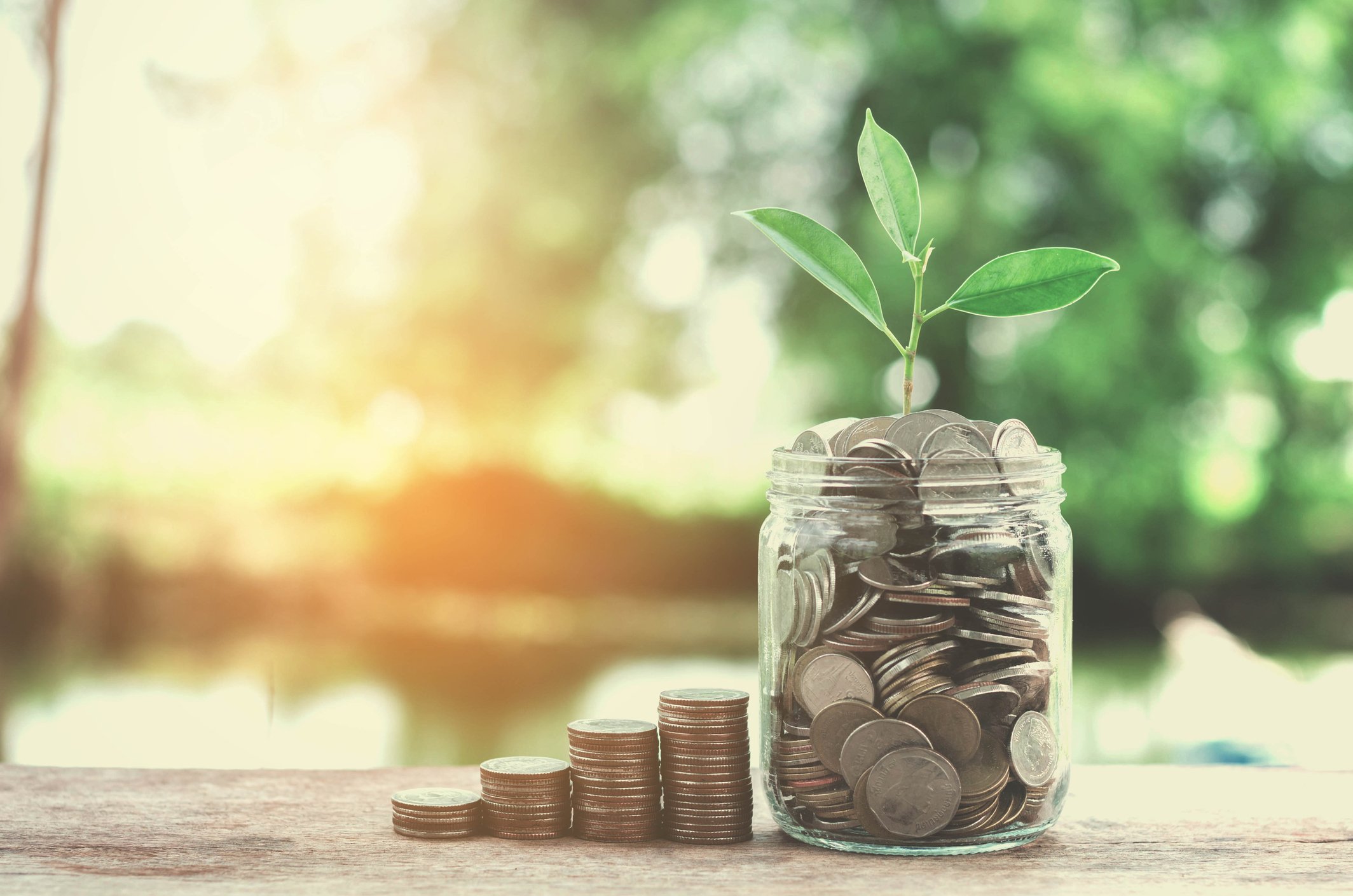 Four stacks of coins ascending in size from left to right and leading up to a large jar of coins with a plant sprouting from the top.