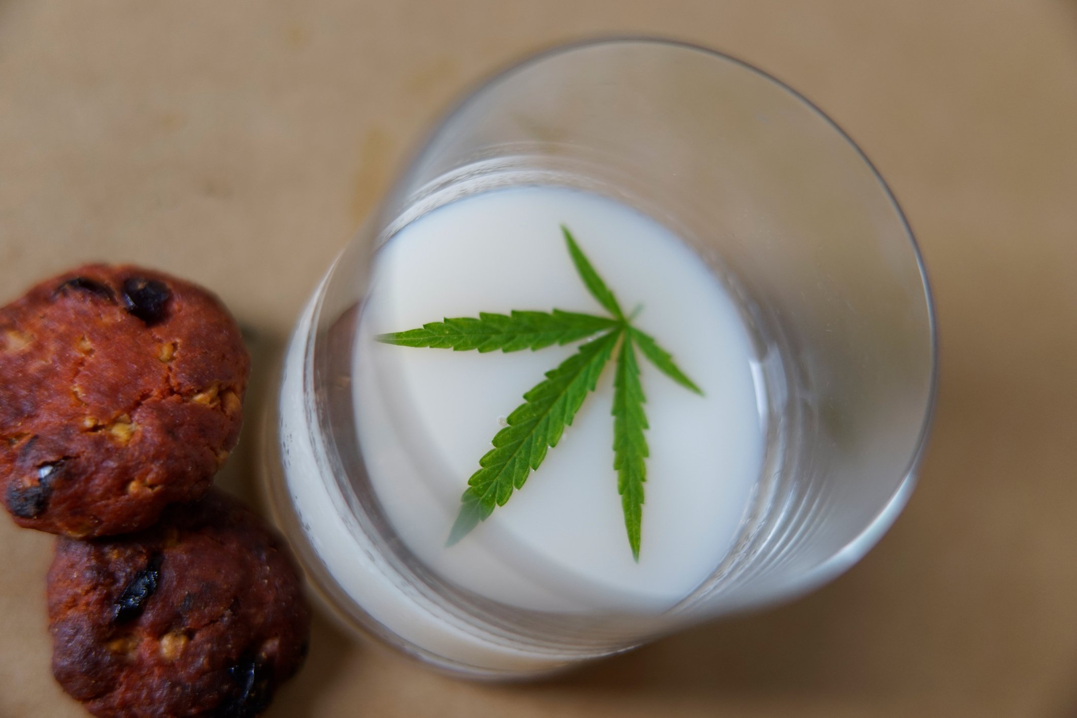 Marijuana leaf in a glass of milk next to two cookies