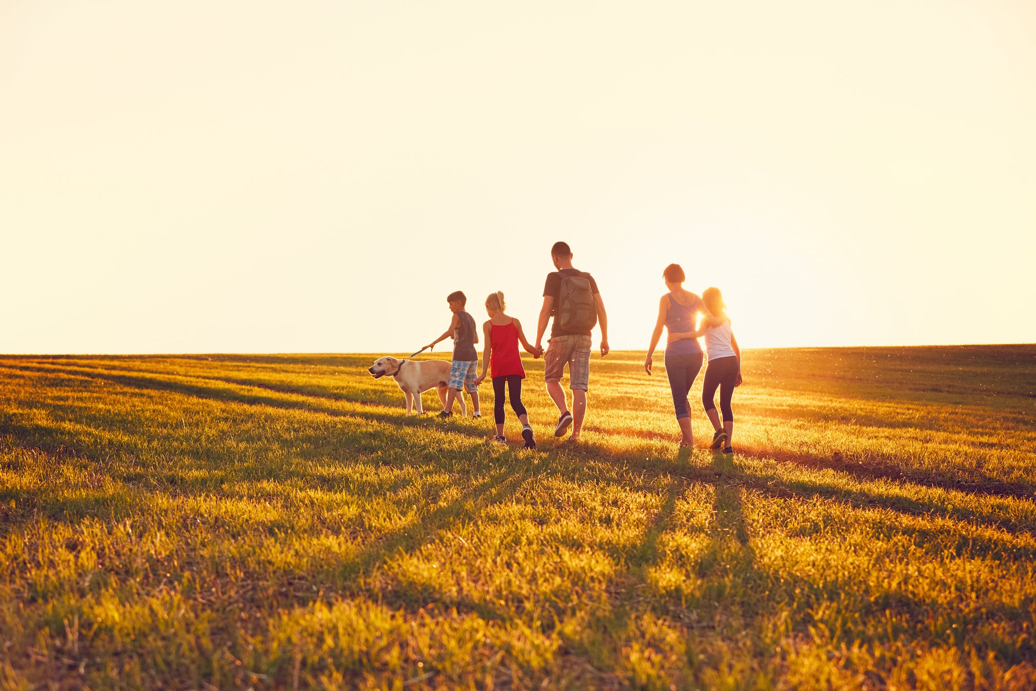 A family and their dog walking in an open field during sunset.