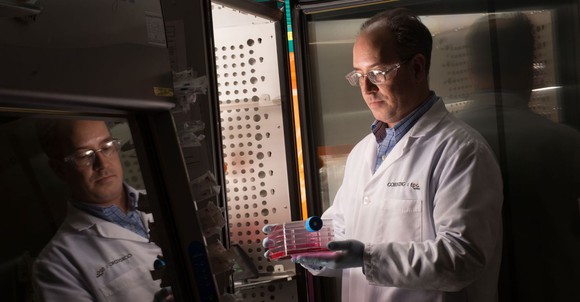Corning scientist holding laboratory glass products
