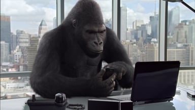 GLW Gorilla Glass