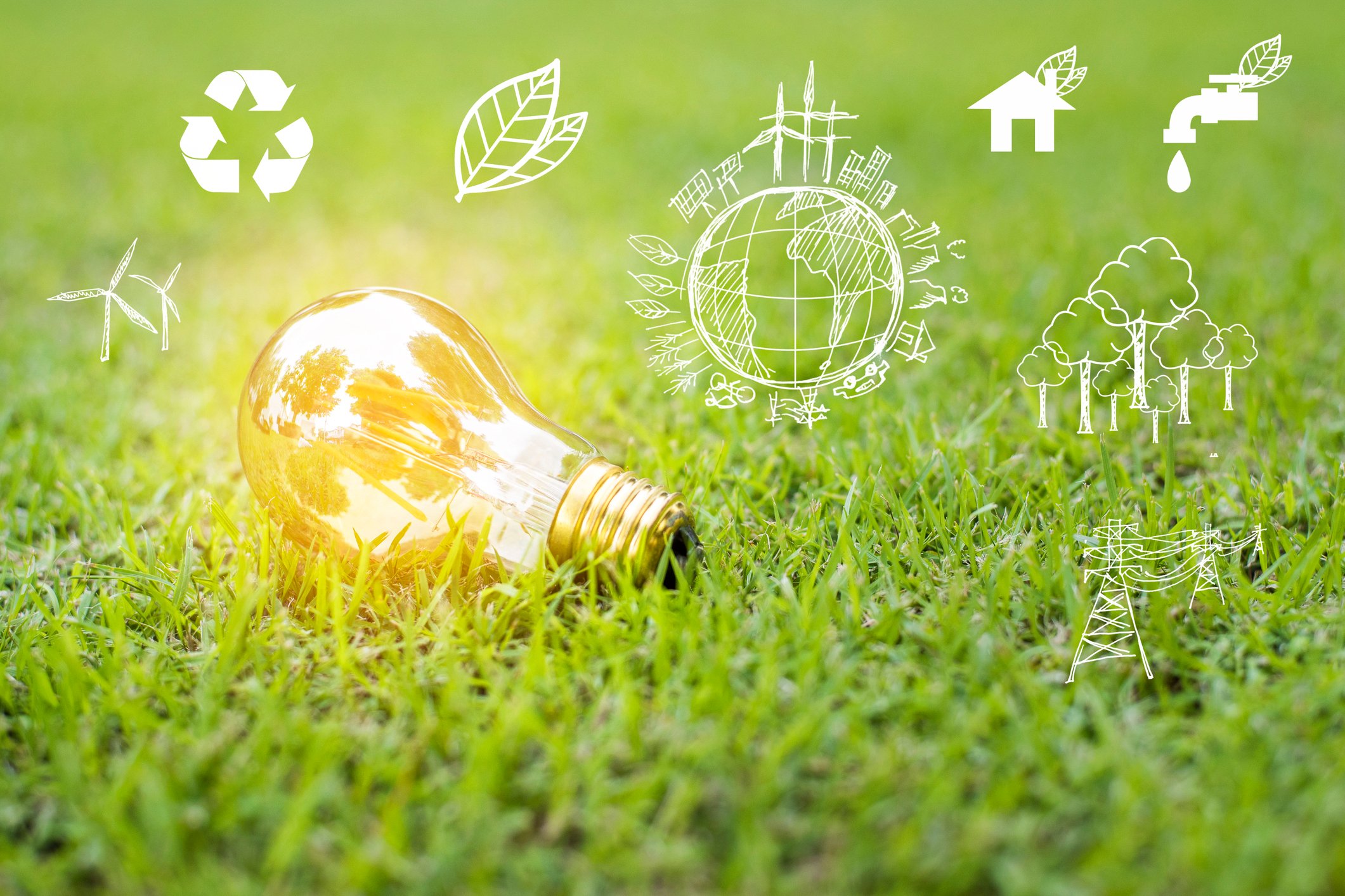 Lying on grass, a shining light bulb is surrounded by renewable energy icons.
