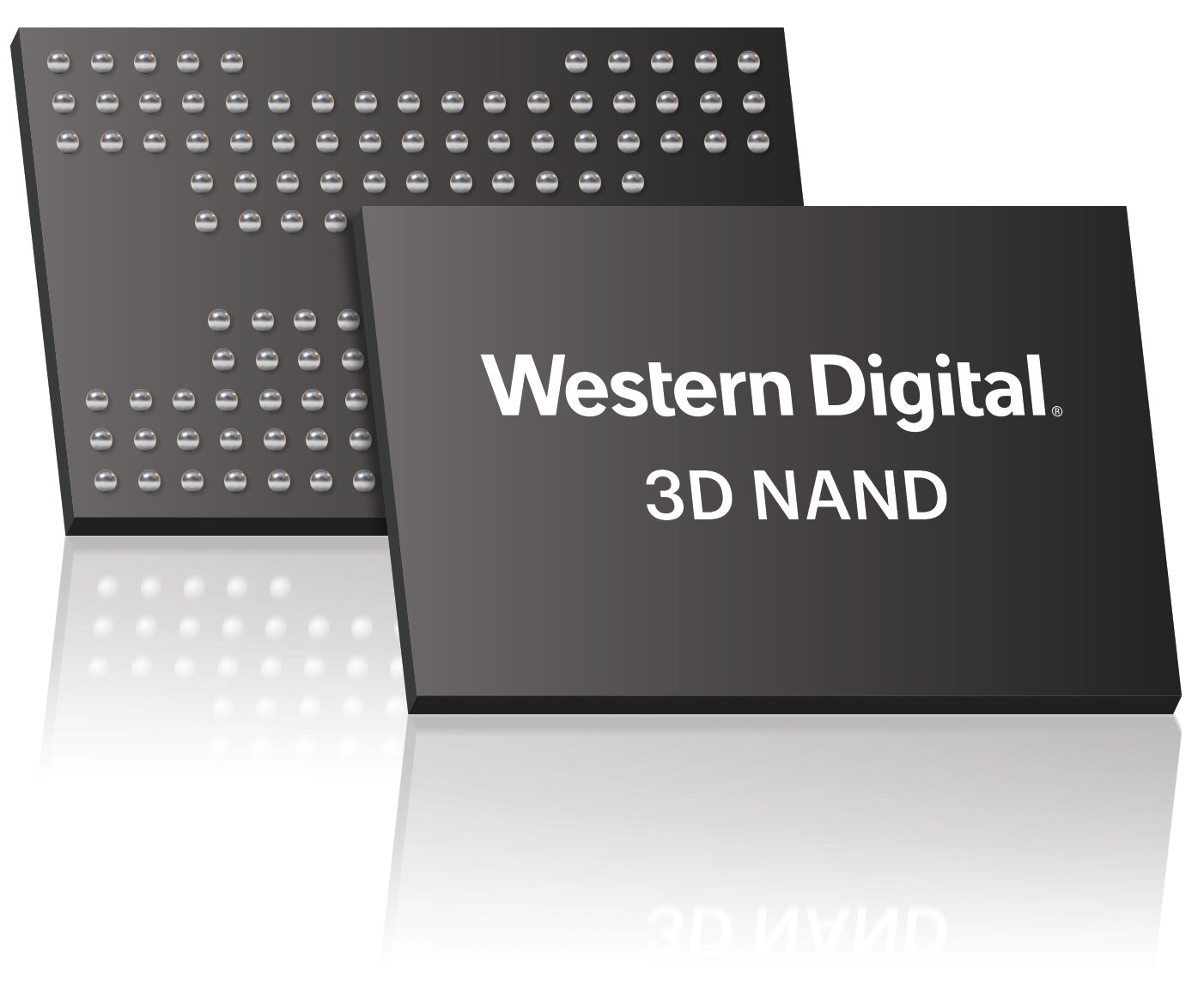 Western Digital flash memory chips.