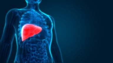 liver