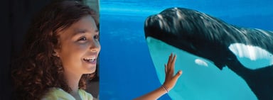 seaworld