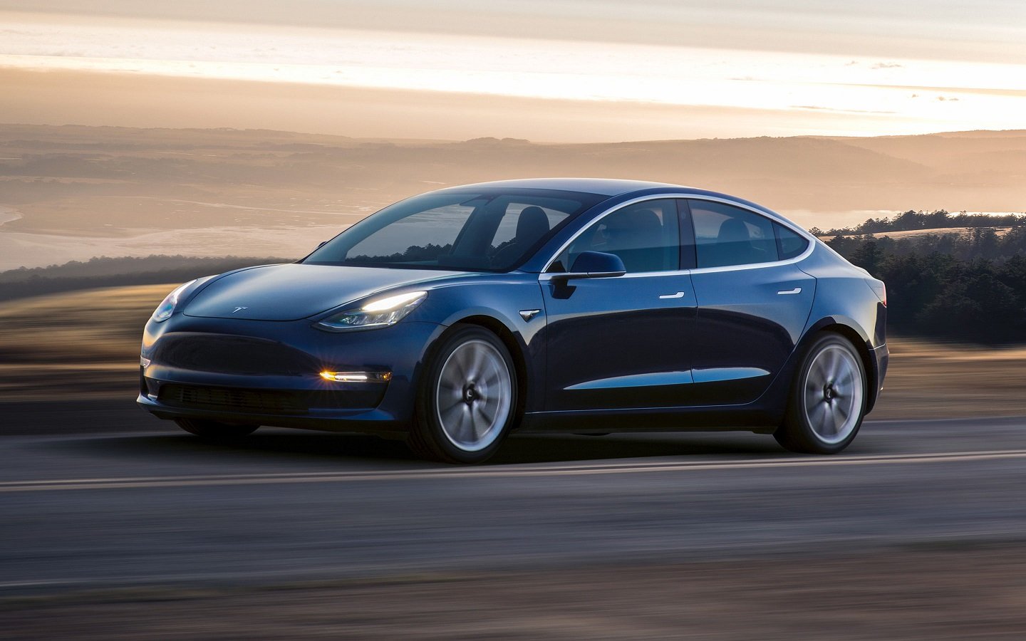 Dark-colored Model 3 sedan on a road in front of a hazy, picturesque landscape.