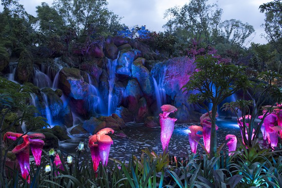 Luminescent flowers from the Pandora -- The World of Avatar attraction at Disney World. 